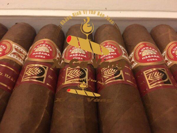 địa chỉ mua xì gà H.Upmann Royal Robustos LCDH uy tín, chất lượng